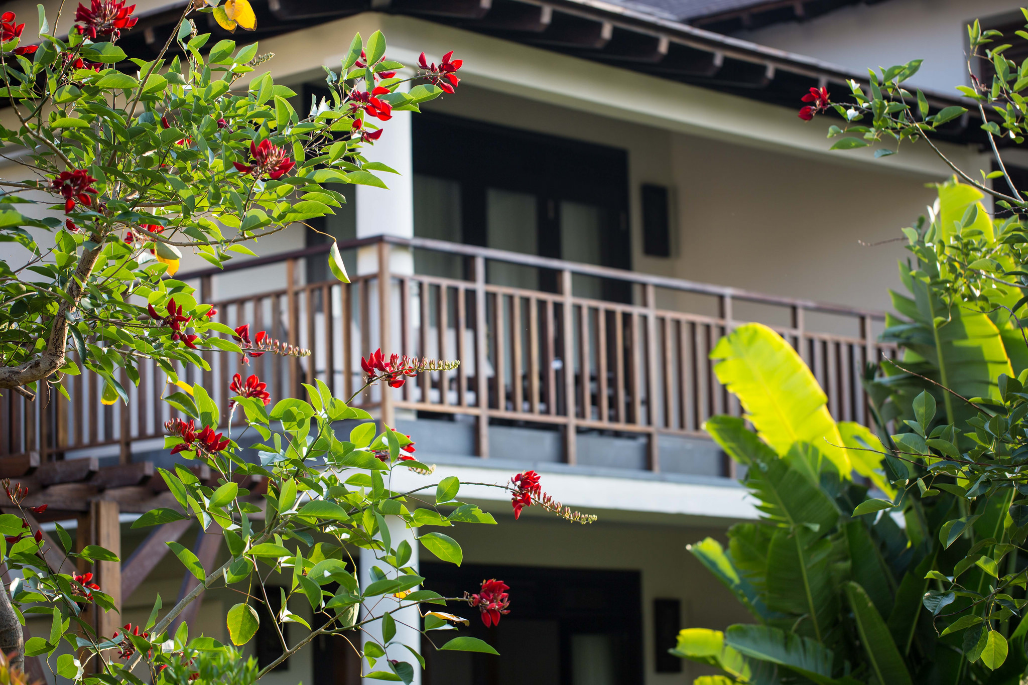 Delexe Villa - Hotel24h.net